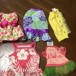 Xxs-small dog outfits